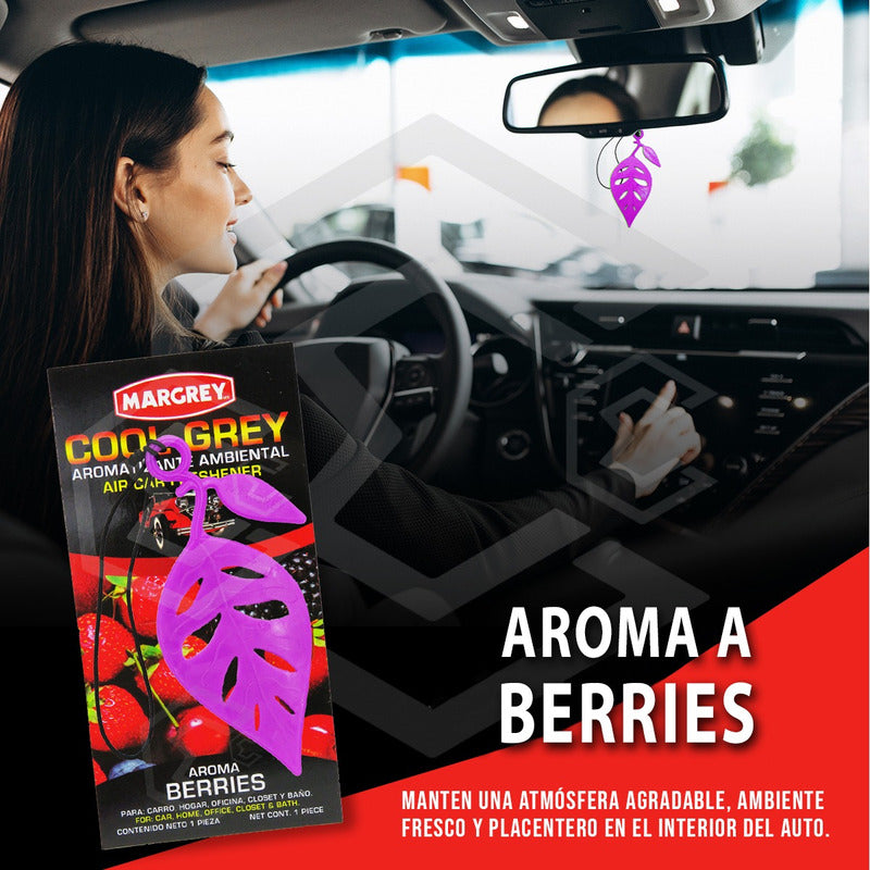30 Aromatizantes Auto Casa Ambiental Cool Grey Mixto Margrey Varios Mixto