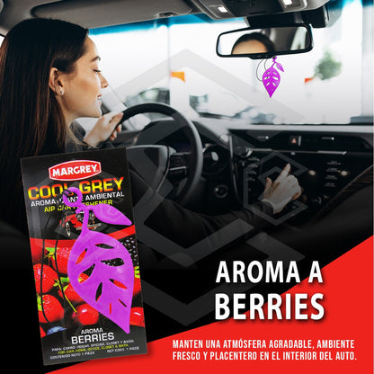 Aromatizante Margrey 2pza Auto Casa Ambiental Cool Grey Hoja
