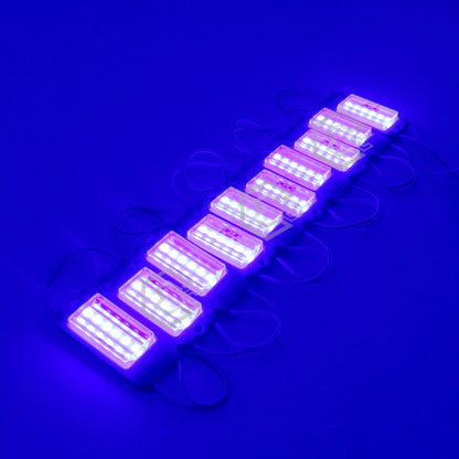 10 Módulo Rect 6led Mz-65 Alta Intensidad Color A Elegir 12v