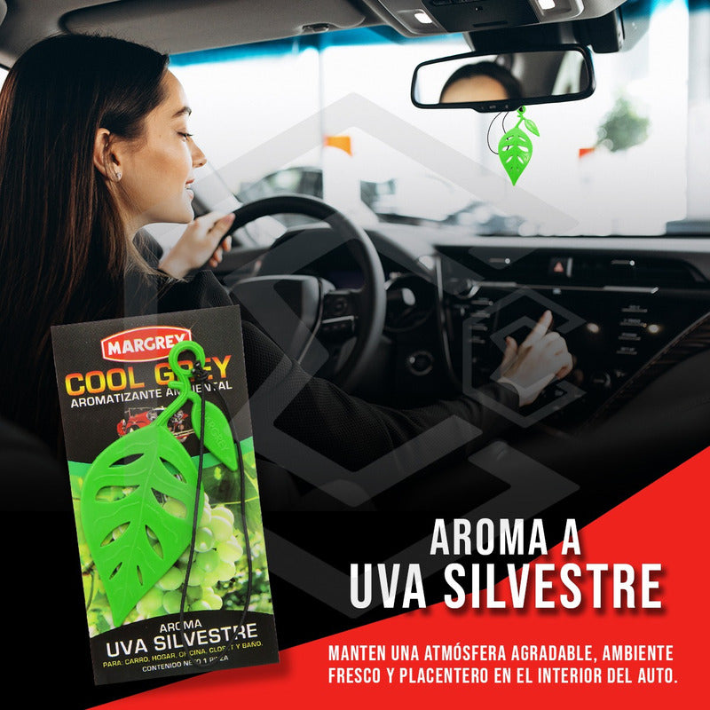 30 Aromatizantes Auto Casa Ambiental Cool Grey Mixto Margrey Varios Mixto