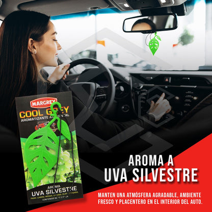 30 Aromatizantes Auto Casa Ambiental Cool Grey Mixto Margrey Varios Mixto