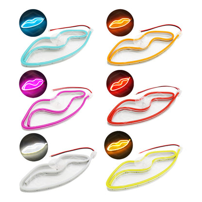 Figura Beso Led Luz Neon Parabrisas Chupón Grande 26cm 12v