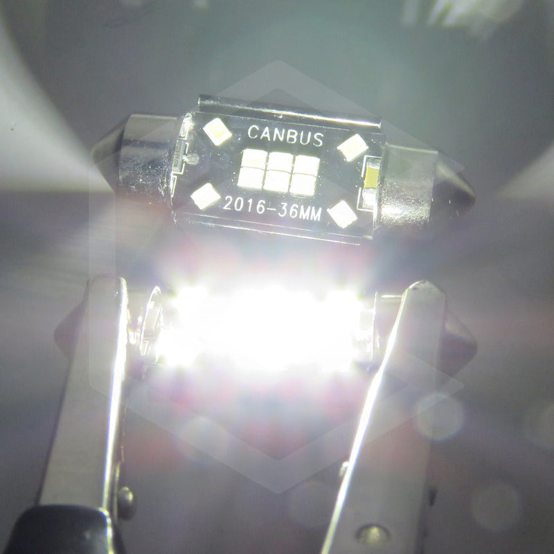 Kit 10 Focos Luz Interior 10 Leds Canbus 31mm 36mm 39mm 41mm