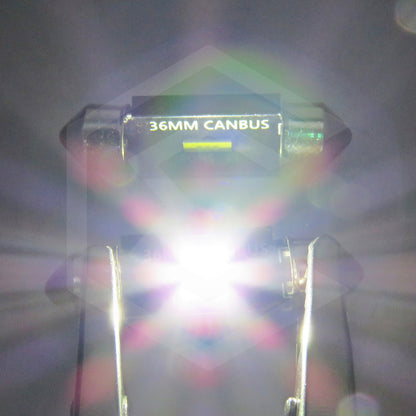 Par De Luz 3 Led Interior Auto Canbus 31mm 41mm 36mm 39mm