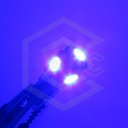 Kit De 10 Focos De Pellizco T10 5  Leds 5050 Alta Potencia