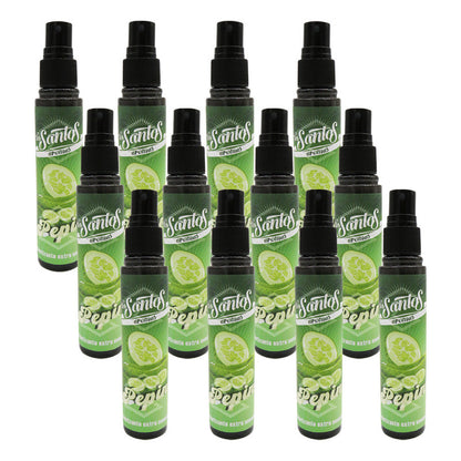 30 Aromatizante Botella Spray Liquido 60ml Auto Casa Ambient