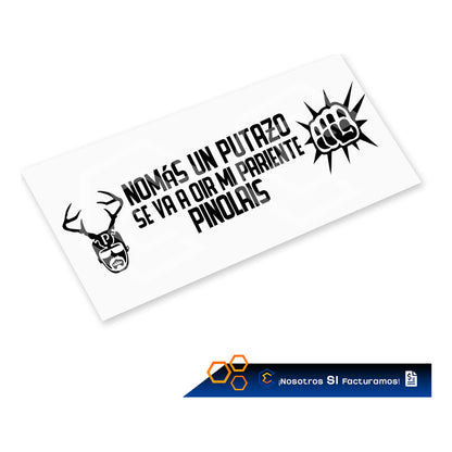 10 Calcomanía Mi Pariente Pinolais Sticker Vinil Auto 24x6cm