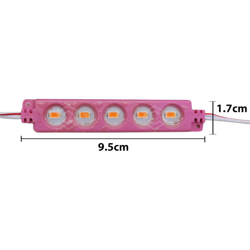 10 Modulos De 5 Leds 5630 Hiper Led Ip65 Contra Agua Color