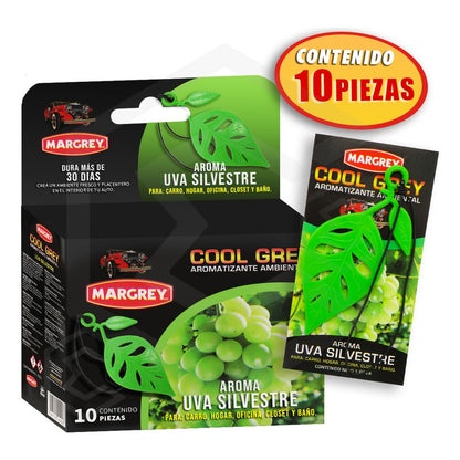 Aromatizante Auto Casa Ambiental Cool Grey Hoja Margrey10pza