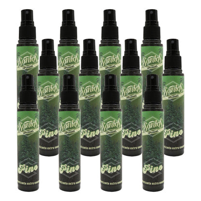 12 Aromatizante Botella Spray Liquido 60ml Auto Casa Ambient