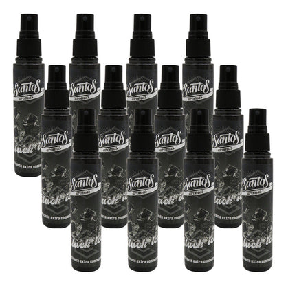 30 Aromatizante Botella Spray Liquido 60ml Auto Casa Ambient