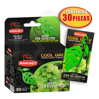 Aromatizante Auto Casa Ambiental Cool Grey Hoja Margrey30pza
