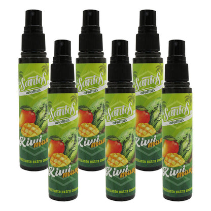 6 Aromatizante Botella Spray Liquido 60ml Auto Casa Ambiente