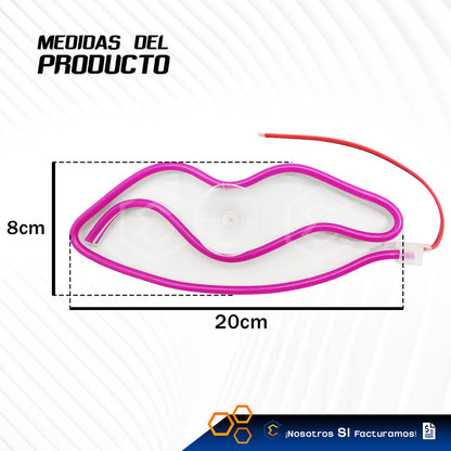 Figura Beso Led Luz Neon Parabrisas Chupón Grande 26cm 12v